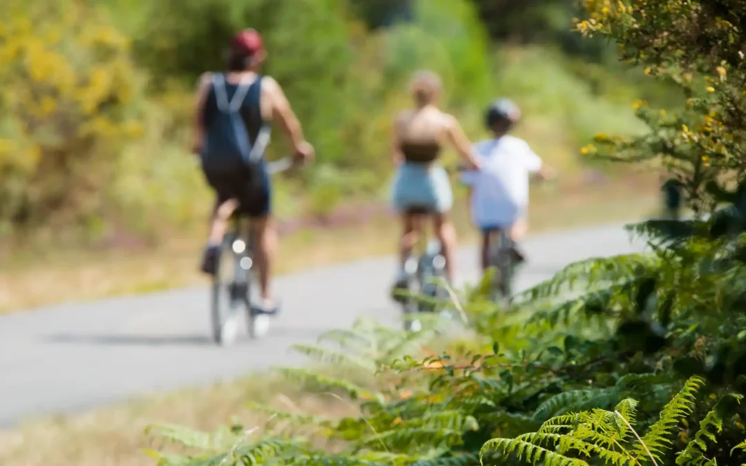 La Vélodyssée : partez à vélo depuis Les Chênes de Léon